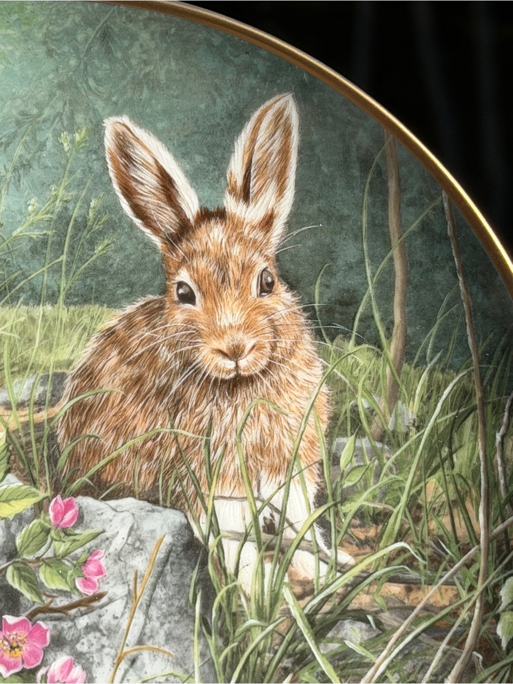 “Wild Roses” Collector Plate Decor | Bunny Rabbit | So Cute! - Picture 6 of 10